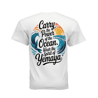 ndm:2651181